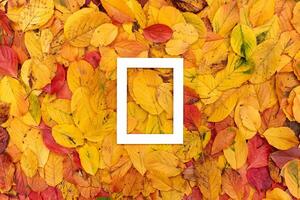 vertical grueso blanco hueco marco mentiras en amarillo otoño hojas foto