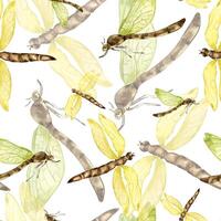 Dragonflies watercolor and shadows seamless pattern isolated on white. Flying insects illustration hand drawn. Colorful sketch bugs with transparent wings. Design for textile, tableware, wrapping vector