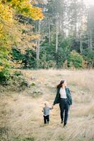 Mom leads a little girl by the hand across the lawn and looks away photo