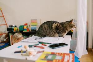 Tabby cat sits on a table next to colored pencils and an album and looks out the window photo