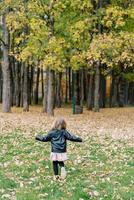 Little girl walks along fallen dry leaves in the autumn forest. Back view photo