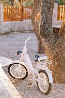 White retro motor bicycle stands near a tree in the park photo