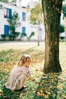 Little girl looks at mushrooms, squatting near a tree in an autumn park. Back view photo