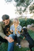 Puppy stands on its hind legs leaning on a little girl standing next to dad sitting on the grass with a puppy on his knees photo