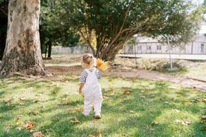 Little girl with a bouquet of yellow maple leaves walks through a sunny park. Back view photo