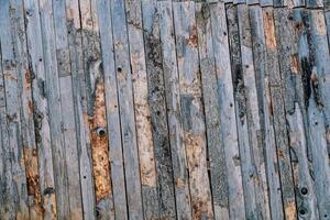 Unpainted wooden fence made of tightly fitted boards with peeling bark photo