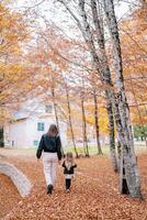 madre y un pequeño niña caminar a lo largo un camino en un otoño parque hacia el casa. espalda ver foto