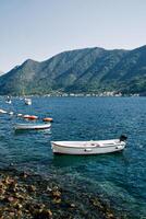 Small motor boats sway on the waves moored near the shore photo