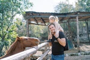 Bay horse looks and licks its lips at a smiling dad with a little girl on his shoulders standing at the fence of the paddock in the park photo