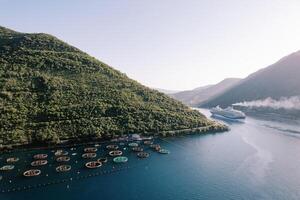 Cruise ship sails on the sea past an oyster farm at the foot of the mountains. Drone photo