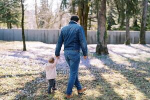 papá y un pequeño niña son caminando en el parque participación manos y mirando a un floración prado foto