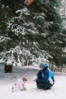 pequeño niña y papá haciendo bolas de nieve mientras allanamiento en un Nevado bosque foto