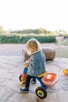 Little girl sits on a tricycle and looks at the steering wheel photo