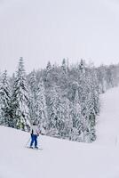 esquiador esquís abajo un colina a lo largo un Nevado bosque foto