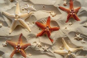 AI generated The starfish are lying on the sand. View from above. The concept of a summer sea or beach photo
