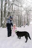 Little girl hands a stick to a black dog while standing with her mother in a snowy forest photo