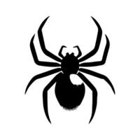 art danger spider black white tattoo element vector template animal