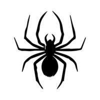 art danger spider black white tattoo element vector template animal