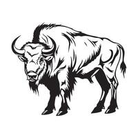 Bison Vector Art, Icons, and Graphics