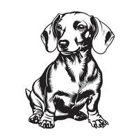 Dachshund Dog Vector Design Images