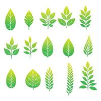 Green leaf icon. Leaves icon on isolated background. Collection green leaf. Elements design for natural, eco, vegan, bio labels. Vector illustration