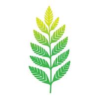 Green leaf icon. Leaves icon on isolated background. Collection green leaf. Elements design for natural, eco, vegan, bio labels. Vector illustration