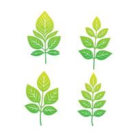 Green leaf icon. Leaves icon on isolated background. Collection green leaf. Elements design for natural, eco, vegan, bio labels. Vector illustration