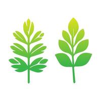 Green leaf icon. Leaves icon on isolated background. Collection green leaf. Elements design for natural, eco, vegan, bio labels. Vector illustration