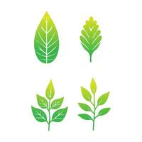 Green leaf icon. Leaves icon on isolated background. Collection green leaf. Elements design for natural, eco, vegan, bio labels. Vector illustration
