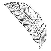 Graceful feather outline icon in vector format for elegant designs.