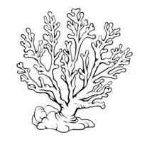 Delicate coral outline icon in vector format for marine designs.