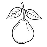 Ripe pear outline icon in vector format for fruit designs.