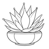 Minimalist vector outline of an agave icon for versatile use.