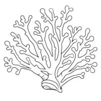 Delicate coral outline icon in vector format for marine designs.