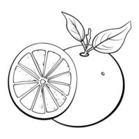 Juicy orange outline icon in vector format for fruit designs.