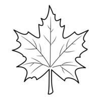 Graceful maple leaf outline icon in vector format for autumn designs.