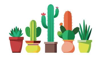 Different kinds of cactuses in pot isolated flat illustration on white background vector