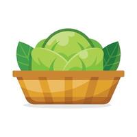 Cabbage in busket Green Leafy Vegetables vector illustration