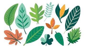 Random shape leaves collection set minimal isolated flat illustration on white background vector