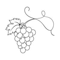 Grape one line continuous line art vector illustration on white background.