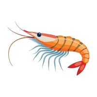 Prawn fish isolated flat vector illustration on white background
