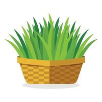 Chives in busket Green Leafy Vegetables vector illustration