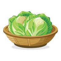 Chinese cabbage in busket Green Leafy Vegetables vector illustration