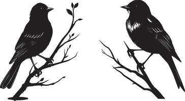 Set of Bird on a Tree branch black silhouette vector