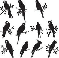 Set of black Silhouette Parrot on a branch vector