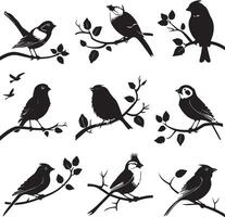 Set of Bird on a Tree branch black silhouette vector