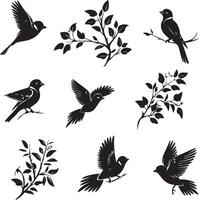 Silhouette of Sparrow birds on the branch white background vector