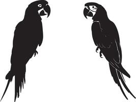 Set of black Silhouette Macaw vector