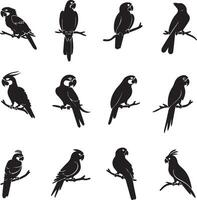 Set of black Silhouette Parrot on a branch vector