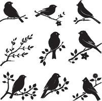 Silhouette of Sparrow birds on the branch white background vector